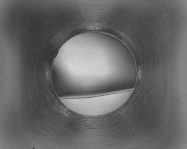 X0000083571444200702090803