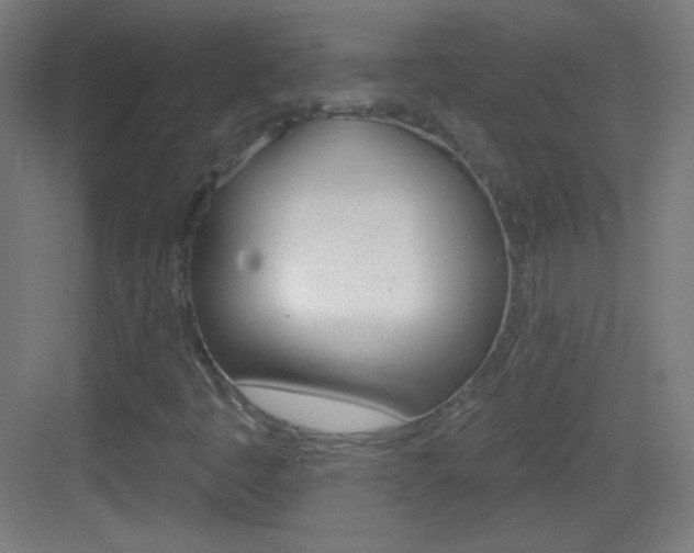 X0000083571445200702090803