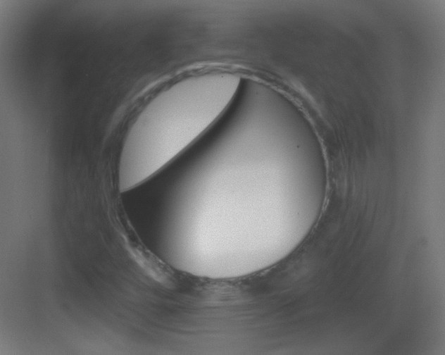 X0000083571448200702090803
