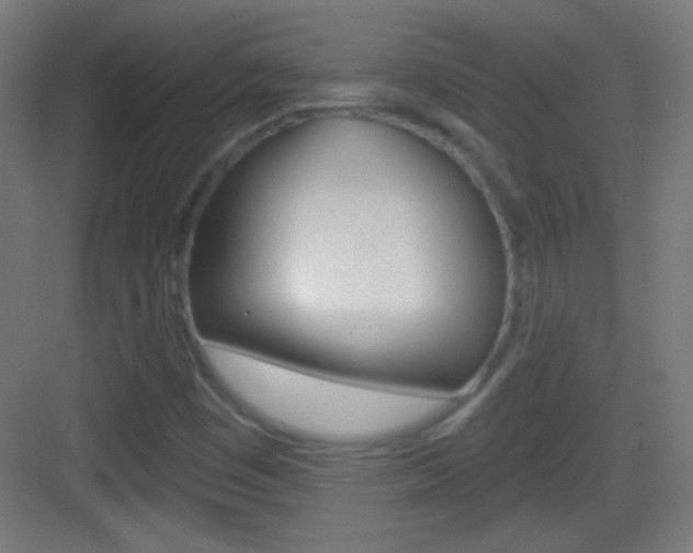 X0000083571449200702090803