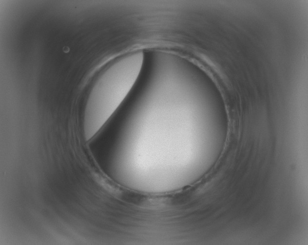X0000083571453200702090803