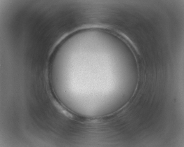 X0000083571460200702090803