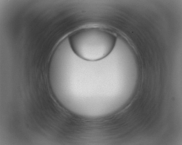X0000083571465200702090802