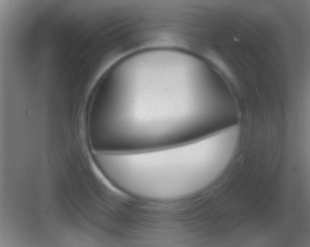 X0000083571468200702090802