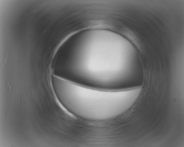 X0000083571476200702090802