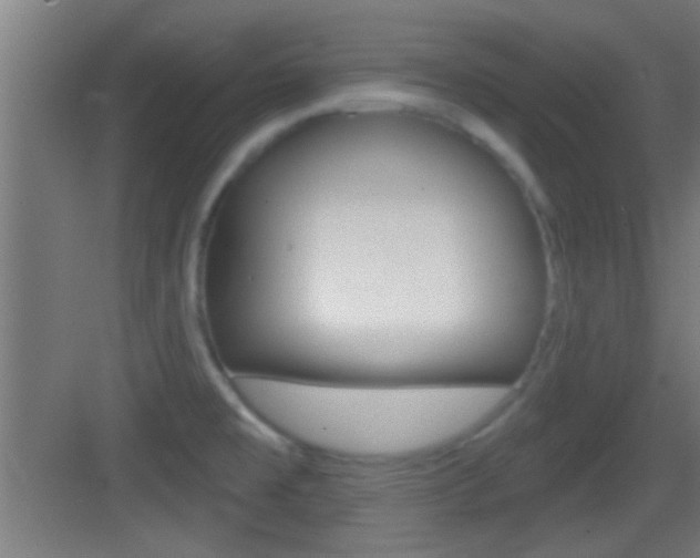 X0000083571477200702090802