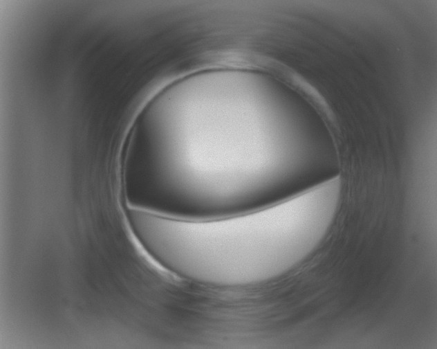 X0000083571479200702090802