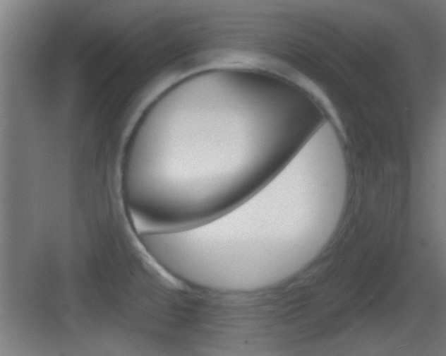 X0000083571480200702090802