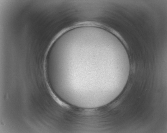 X0000083571482200702090802
