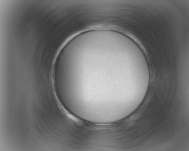 X0000083571486200702090802