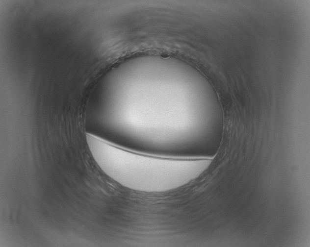 X0000083571490200702090801