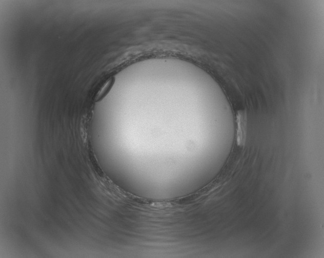 X0000083571491200702090801