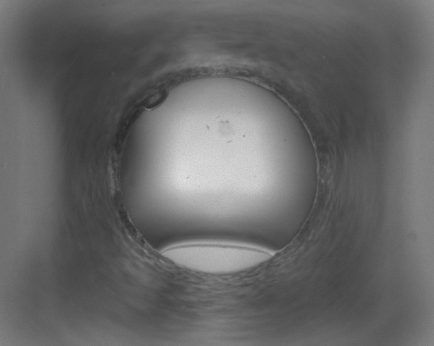X0000083571493200702090801