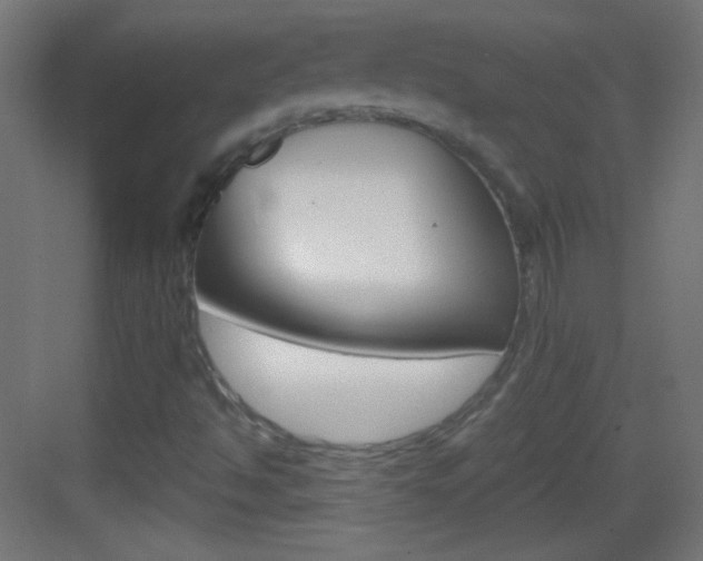 X0000083571494200702090801