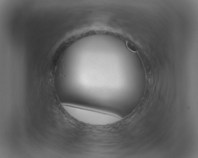 X0000083571495200702090801