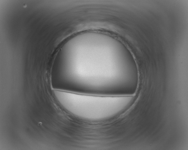 X0000083571497200702090801
