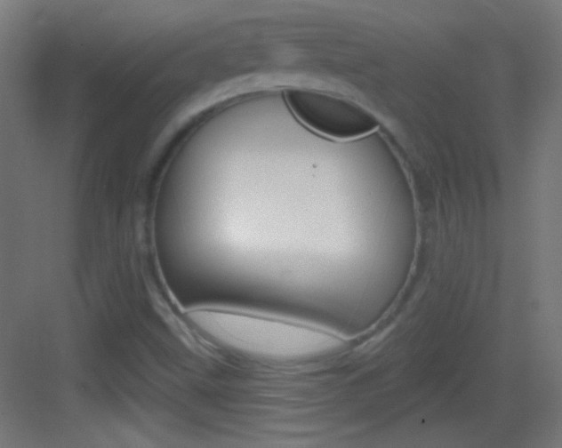 X0000083571499200702090801