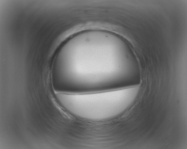 X0000083571507200702090801
