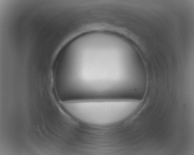 X0000083571509200702090801