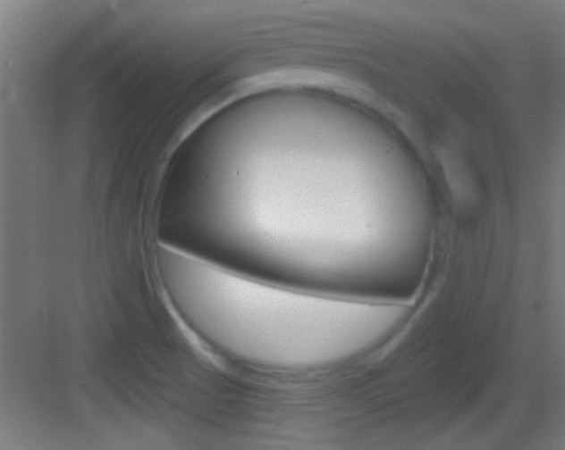 X0000083571521200702090802