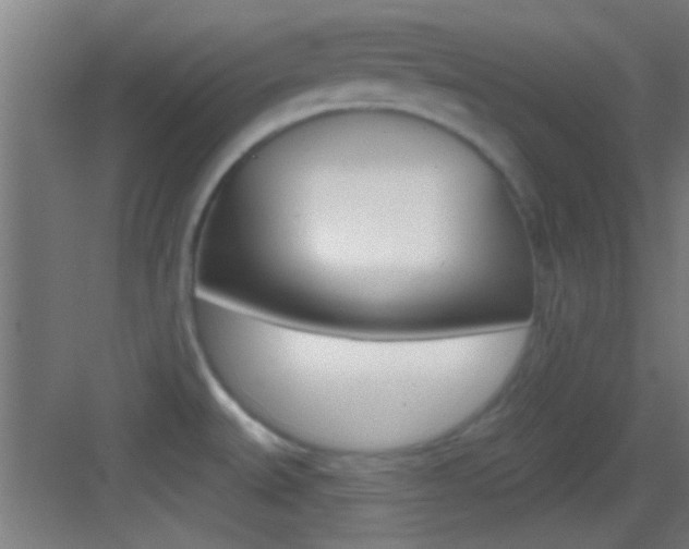 X0000083571527200702090802