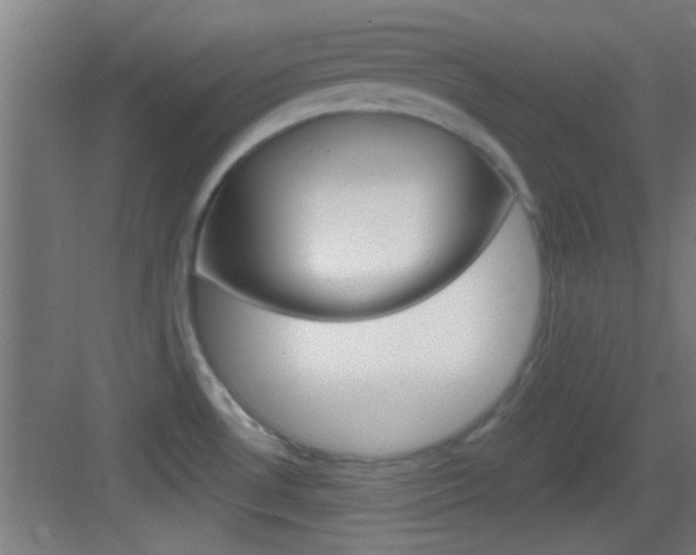X0000083571530200702090802