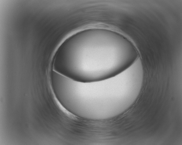 X0000083571531200702090802