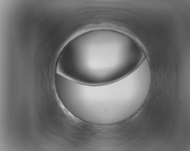 X0000083571534200702090802
