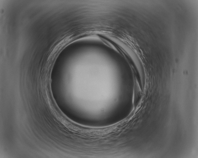 X0000083570001200702091105