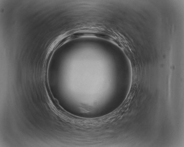 X0000083570003200702091105