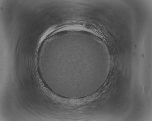 X0000083570006200702091105
