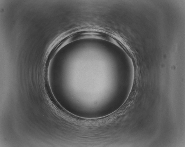 X0000083570007200702091105