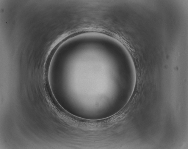 X0000083570008200702091105