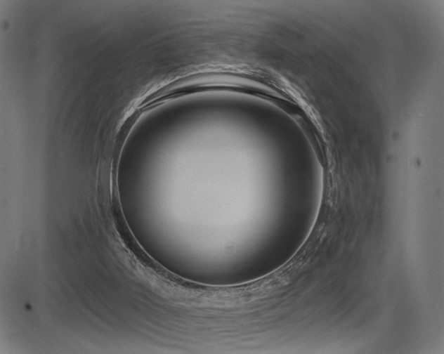 X0000083570011200702091105