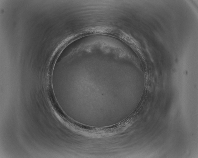 X0000083570012200702091105