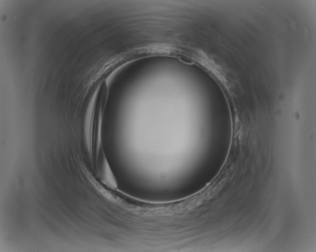 X0000083570013200702091105
