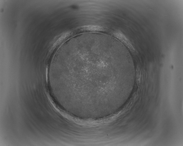 X0000083570014200702091105