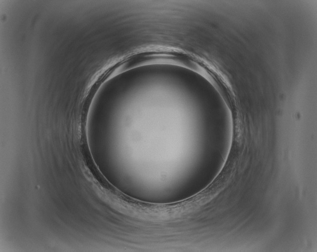 X0000083570015200702091105