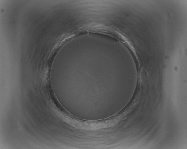 X0000083570018200702091105