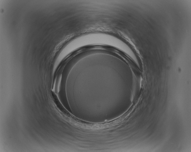 X0000083570019200702091105