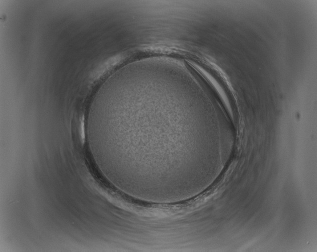 X0000083570020200702091105