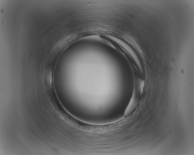 X0000083570021200702091105