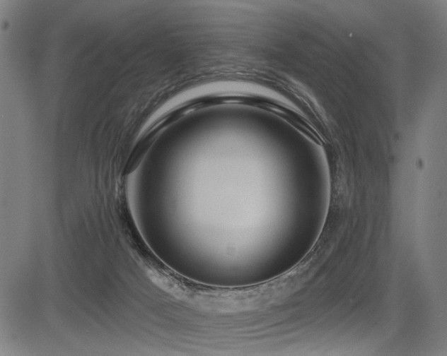 X0000083570025200702091105