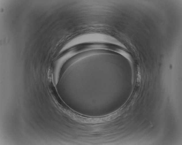 X0000083570031200702091105