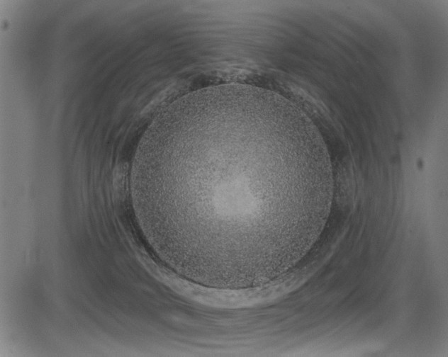 X0000083570034200702091105