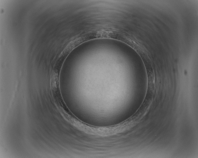 X0000083570038200702091104