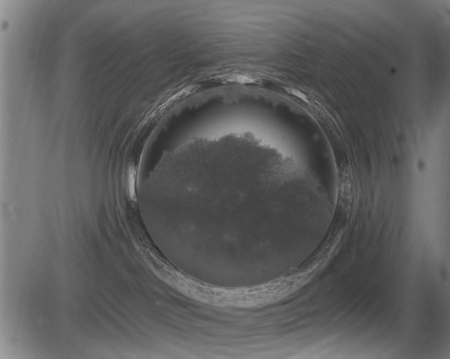 X0000083570046200702091104