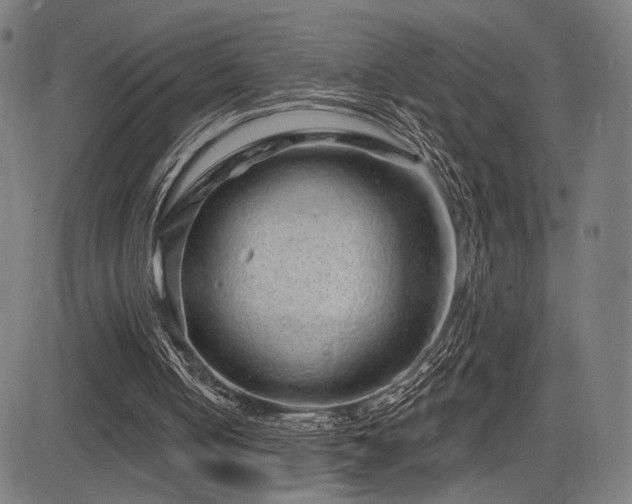 X0000083570050200702091104