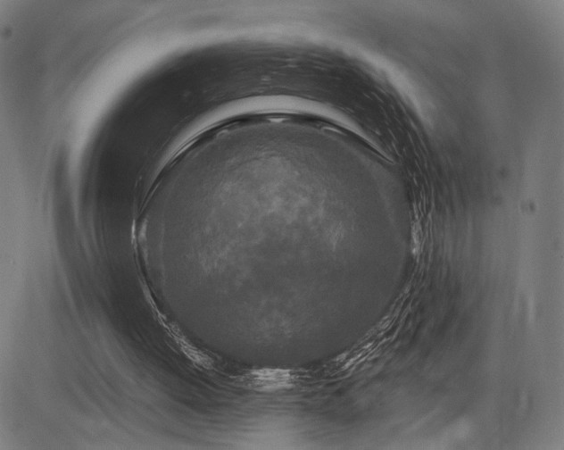 X0000083570052200702091104