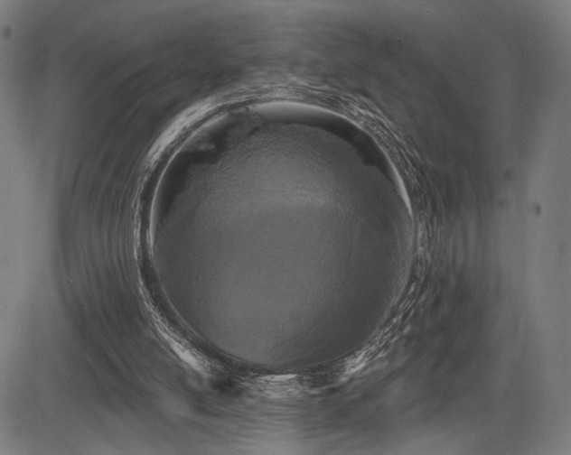 X0000083570054200702091104